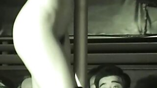 سیزلنگ ہارلٹ الیکسس  ...